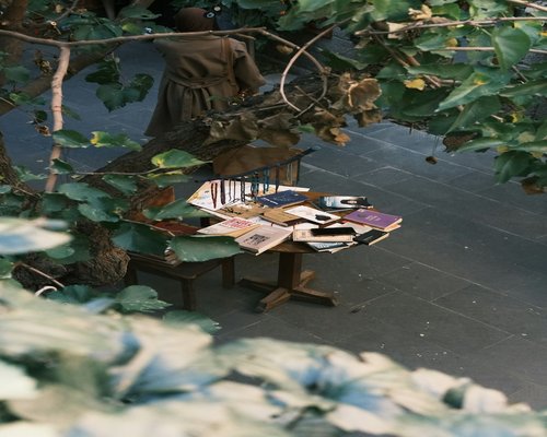 A person hand writing down observational journal entries into a clean notebook on a sunlit table near local green plants