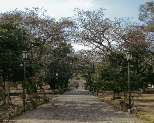 A quiet historic street path in Mexico with green trees where people can enjoy peaceful walks and mental disconnect